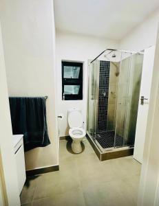 a bathroom with a toilet and a glass shower at EchoPheme Suites in Gaborone +9 photos