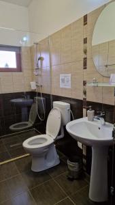 a bathroom with a toilet and a sink at Casa Ralucăi in Moisei +69 photos