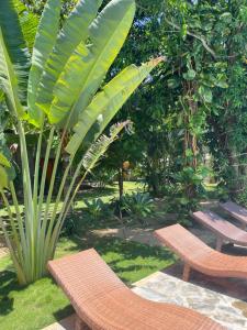 two chairs and a bench in a garden at Surf Gangs Arugambay in Arugam Bay