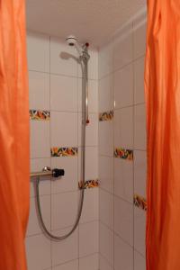 a shower with a shower curtain in a bathroom at Ferienwohnung Stirnimann-Gemsch in Valzeina