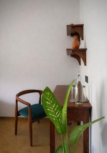a plant sitting next to a wooden table and a chair at Drop Inn Studios in Ahangama