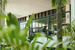 a group of chairs in a room with plants at The Leea, Darwin in Darwin