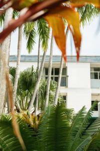 a group of palm trees in front of a building at The Leea, Darwin in Darwin