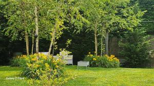 a garden with a bench and some trees and flowers at appartamento comfort Malpensa check in h 24 posto auto privato in Casorate Sempione