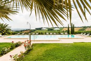 a resort with a pool and a palm tree at Poggio Antico in Monte San Vito