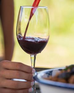 a person is holding a glass of red wine at AnaVino in Kvareli
