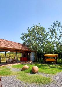 a house with two large spheres in the grass at AnaVino in Kvareli