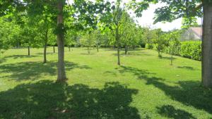 a park with trees and green grass and shadows at Apartments Suzy in Vantačići