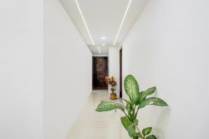 a hallway with white walls and green plants at Super Hotel O Laxman Nagar Baner in Pune +38 photos