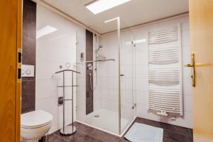 a bathroom with a shower and a toilet at Ferienwohnung Schwarzwaldsteig in Bad Peterstal-Griesbach +50 photos