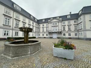 a courtyard with a fountain in front of a large building at Apartmány Tachov in Tachov