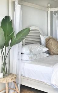 a bedroom with a white bed with a plant and a table at Salt & Sea in Airlie Beach