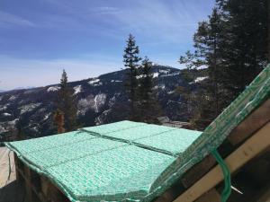 a green mat sitting on top of a mountain at Bergliebe Klippitztörl in Klippitztorl