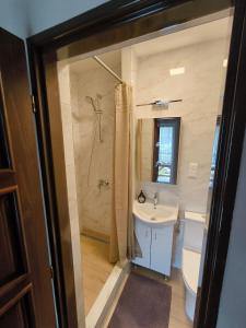 a bathroom with a sink and a shower and a toilet at Hotel Koloniál Skalité in Skalité