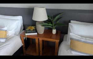 a table with a lamp and a plant on a table between two beds at Ocean View Nature Lodge in St Lucia +36 photos