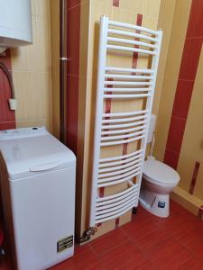 a bathroom with a toilet and a shelf next to a refrigerator at Norbert Vendégház in Balatonszárszó +26 photos