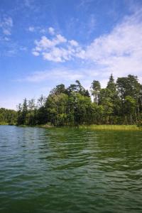 a body of water with trees in the background at Mazurski Apartament in Snopki +23 photos