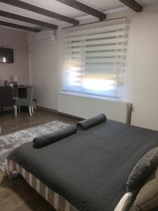 a bedroom with a large bed and a window at Alex Lodge in Zrenjanin