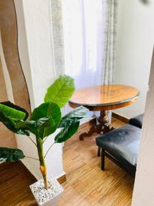 a dining room with a table and a plant at CLASSIC BNBs MILIMANI in Kisumu
