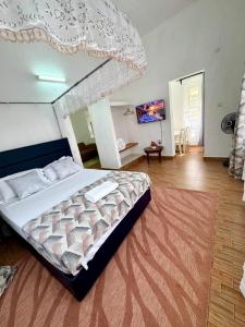 a bedroom with a large bed with a canopy at CLASSIC BNBs MILIMANI in Kisumu +12 photos