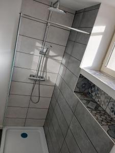 a bathroom with a shower with a toilet and a sink at L'Ancienne Etable in Gentelles