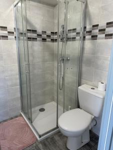 a bathroom with a shower and a toilet at LAVANDE studio 4 personnes in Château-Arnoux-Saint-Auban