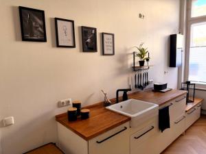 eine Küche mit Spüle und Arbeitsfläche in der Unterkunft Apartment Stella in Kassel + 8 Fotos