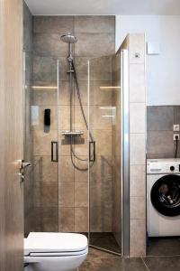 a shower in a bathroom with a toilet and a washing machine at Luxuriöse, 1-2-Zimmer-Apartments 30-55 qm in Fürstenau +62 photos