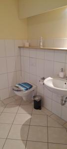a bathroom with a toilet and a sink at Zur Schleibrücke in Boren
