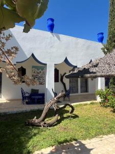 a house with a tree branch in front of it at ecrin mogador in Aït Sidi Saïd