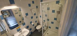 a bathroom with a shower and a toilet and a sink at The Grapes in Southampton