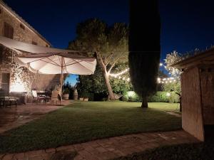 a patio with an umbrella in a yard at night at Casa Carini in Scansano