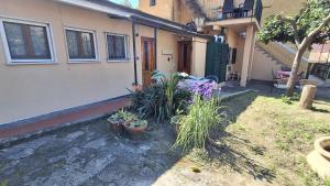 a yard with some plants and a house at Marianna Home and Parking in Monterosso al Mare