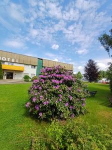 a bush of flowers in front of a building at Hotel am Lärchenberg in Schirgiswalde