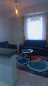 a living room with a blue couch and a table at Panorama bnbs meru in Meru