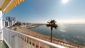 a balcony with a view of a beach and a palm tree at Apto Mar Blau in L'Ampolla