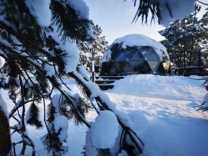 a igloo in a snowy forest with snow covered trees at Skubėk Neskubėti in Klykiai