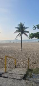 a palm tree on a sandy beach with a volley ball court at Apto novo com ampla sacada e piscinas in Guarujá