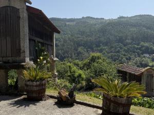 a house with two potted plants in front of it at Serena Nest 03 in Rio Douro
