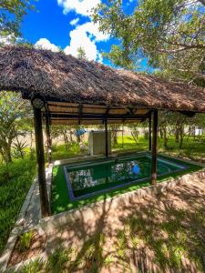 a pavilion with a swimming pool in a garden at Zambeze Lodge in Marracuene