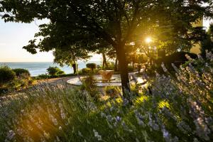 a garden with purple flowers and a tree and the ocean at Hotel Riviera & Maximilian's in Trieste
