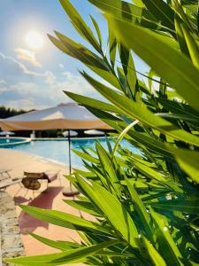 a view of a pool with umbrellas and chairs at Borgo Del Torchio - Gardagate in Manerba del Garda