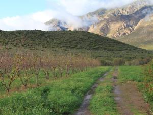 a dirt road in a field with mountains in the background at The Barn On 62 - Cottages in Montagu +4 photos