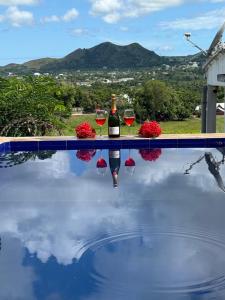 a bottle of wine and two glasses on a swimming pool at Villa Bella Vista in Hell-Ville