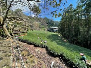 a group of people standing in a grass field at Tanapavana閒雲居 in Alishan