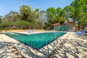 a swimming pool with two blue chairs next to it at Sterling Kanha in Kānha