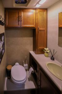 a bathroom with a toilet and a sink at Kamper 30m2 max 4 osoby in Ciężkowice +42 photos