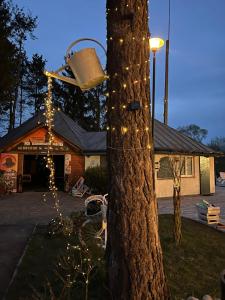 a basket hanging from a tree with christmas lights at Przyczepa BOHO in Ciężkowice