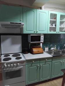 a kitchen with green cabinets and a stove and a sink at Apartment TiBi in Kumanovo