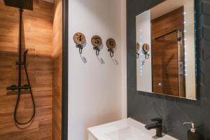 a bathroom with a shower and a sink and a mirror at Frafjord Apartments Thor in Dirdal +12 photos